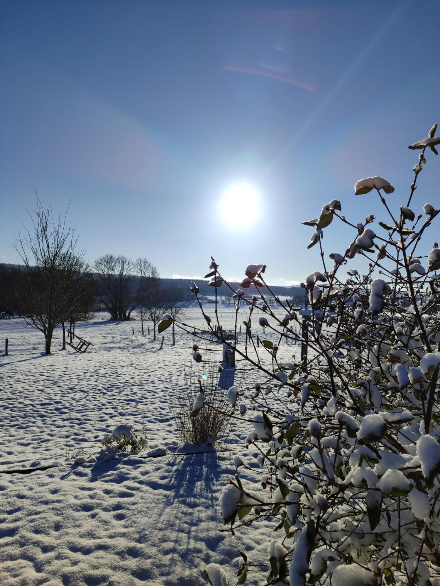 La Croisee Des Champs, Gite Entre Durbuy Et La Roche En Ardenne Erezee Bagian luar foto