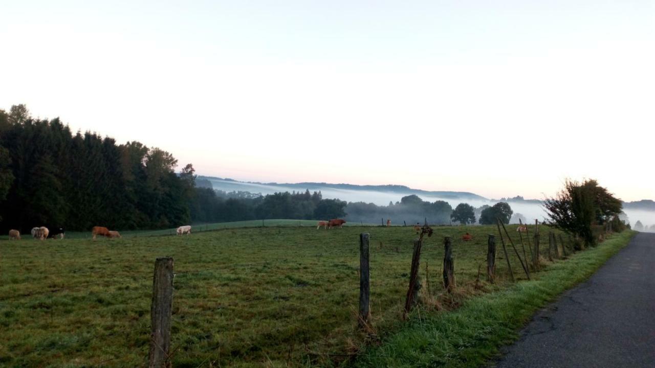 La Croisee Des Champs, Gite Entre Durbuy Et La Roche En Ardenne Erezee Bagian luar foto